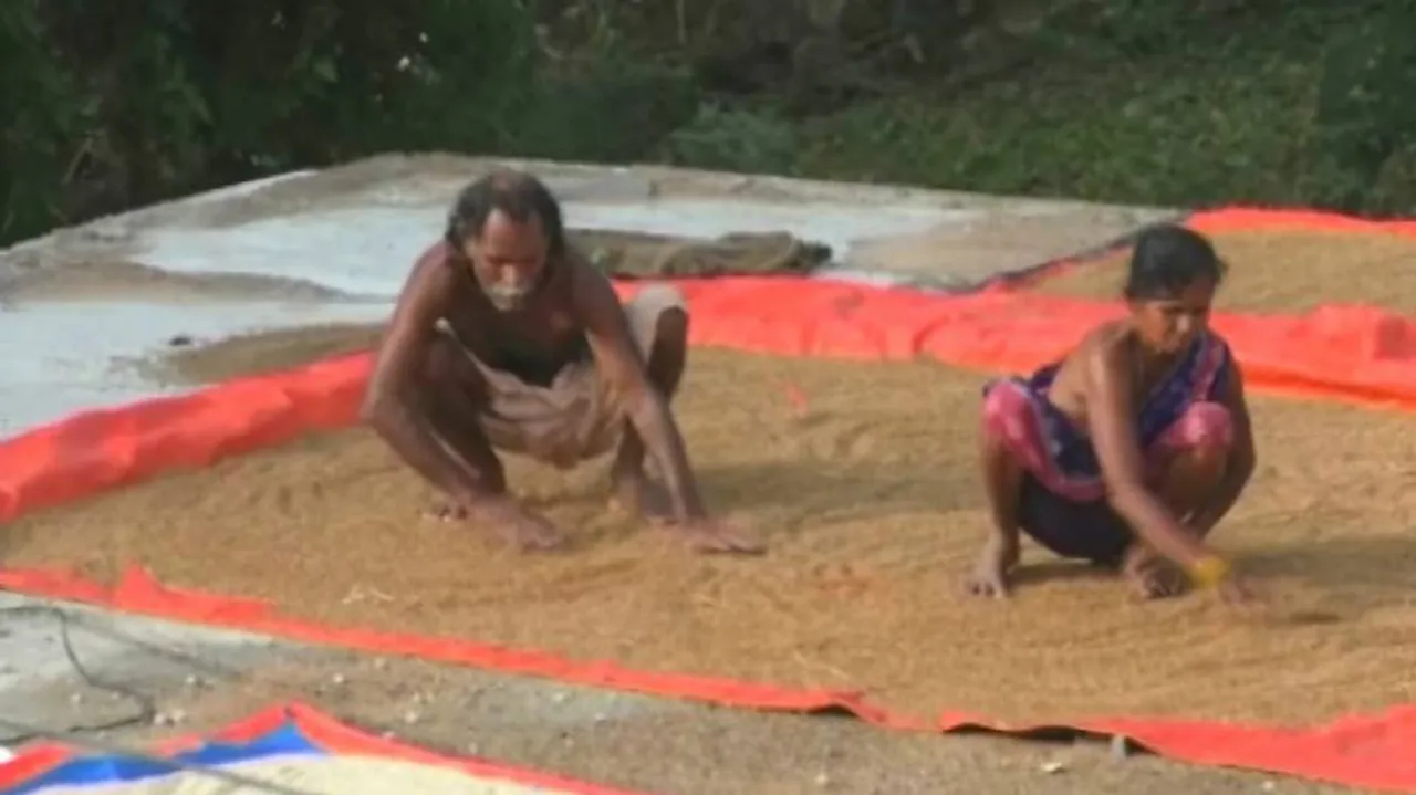 Govt Estimates Kharif Crop Output At 140.57 MT In 2019-20