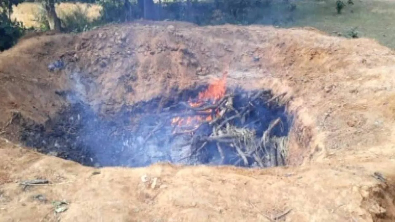 Elephant ‘killed’ & buried by villagers in Sundergarh; 2 forest officials suspended