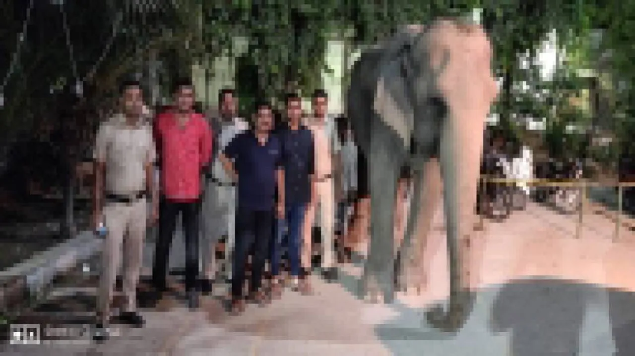 Missing Jumbo Laxmi Found Near Delhi Police HQ