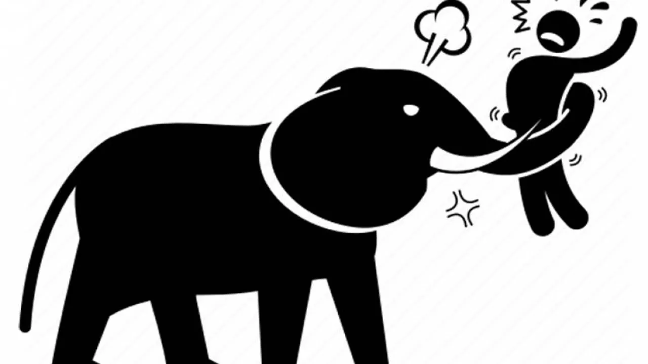 Man Dies After Being Attacked By Elephants In Odisha