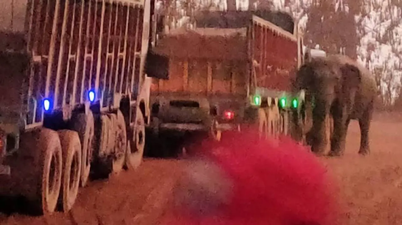 WATCH: Highway Robber Elephant's Adorable & Unusual Gesture Amuse People!