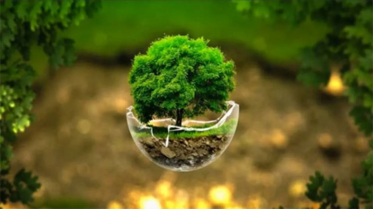 SC voices surprise over govt's decision to reduce eco-sensitive zones
