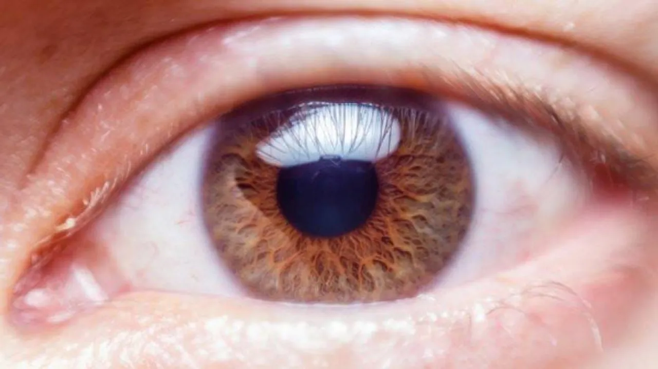 Using smartphone for eye check-up may lead to misdiagnosis, says study