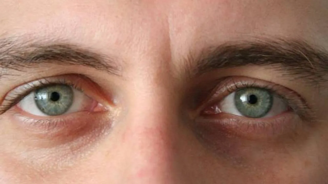 Modern humans' expressive eyebrows boosted social networks: Study