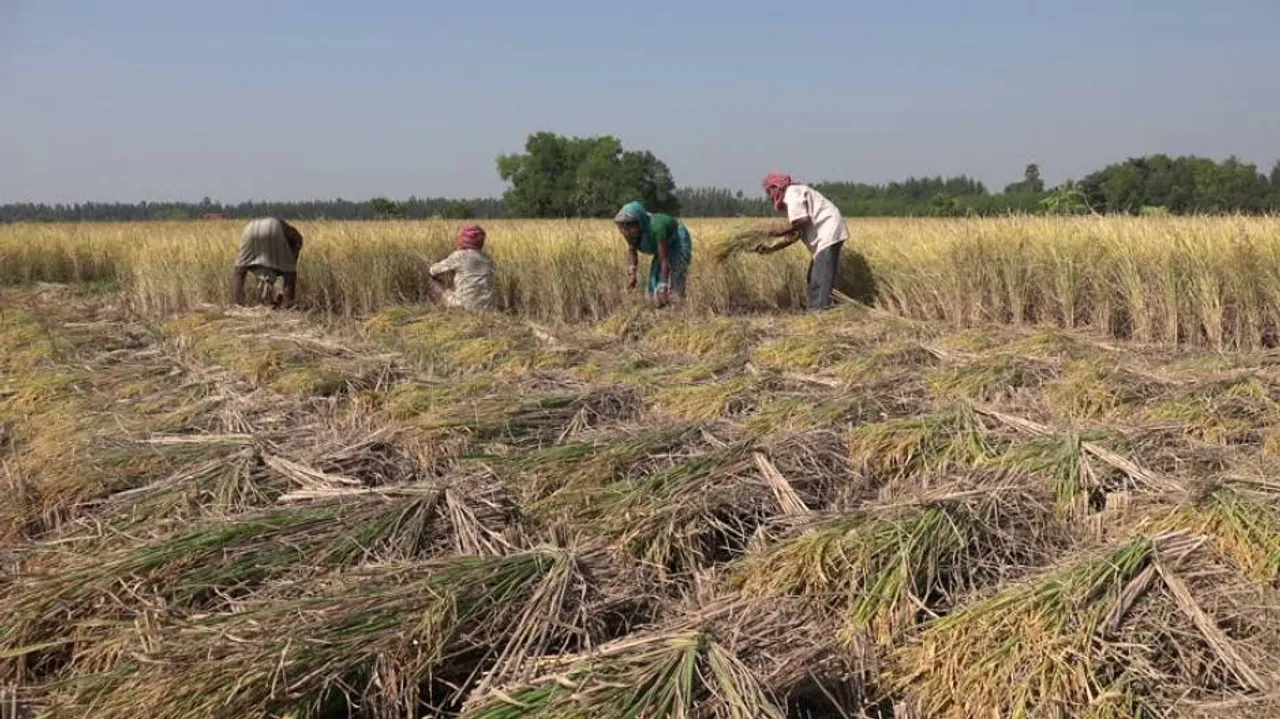 Opp sceptical of govt deadline for payment of Rs 100 a quintal addl aid to farmers