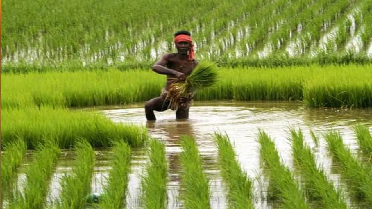 Union Budget 2021: Govt Committed To Farmers' Welfare, MSP System Strengthened, Says FM