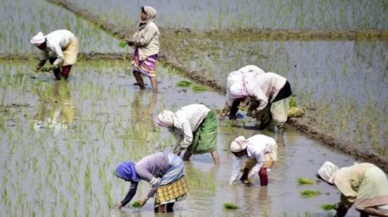 Odisha Govt Puts KALIA Money Refund Process On Hold