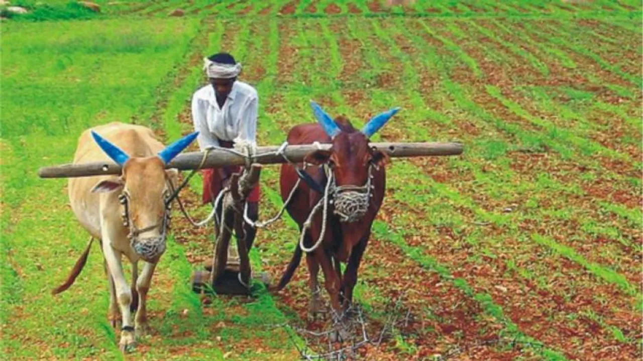 Odisha clears Rs 216.22 cr agriculture input subsidy for drought-hit farmers