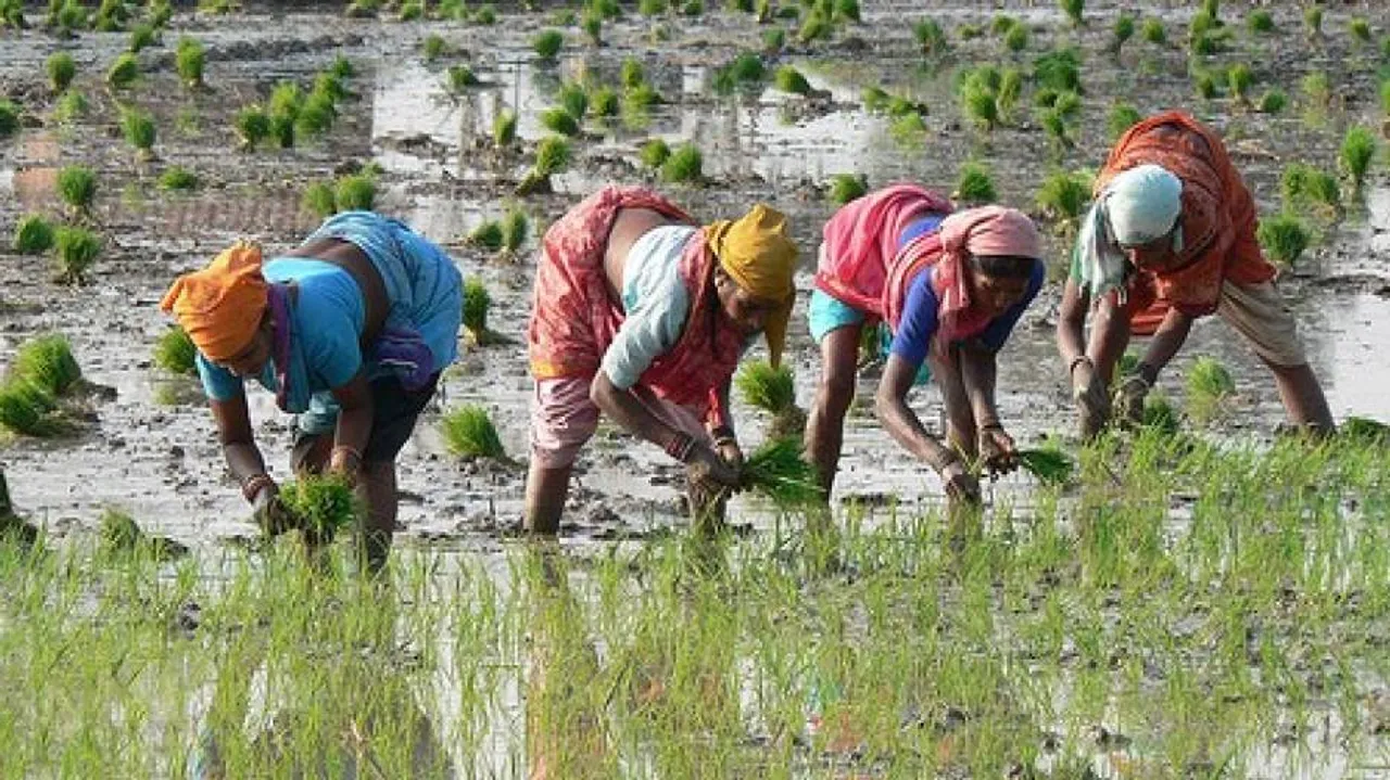 Baijayant Panda seeks to extend crop insurance deadline