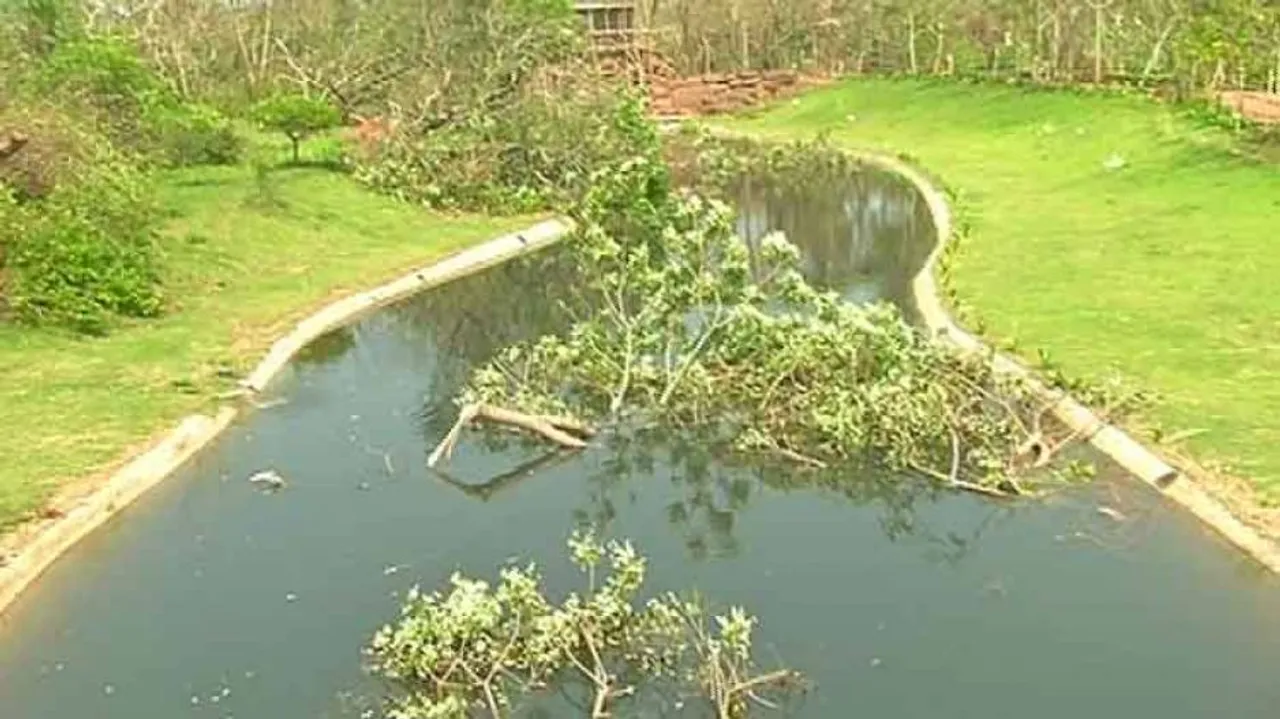 Public parks of Bhubaneswar wear Fani's besmirching footprints
