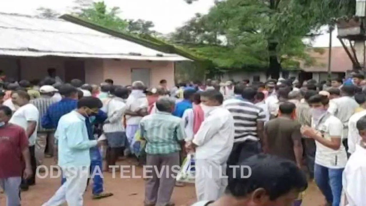 Fertiliser Scarcity Leaves Odisha Farmers In Lurch