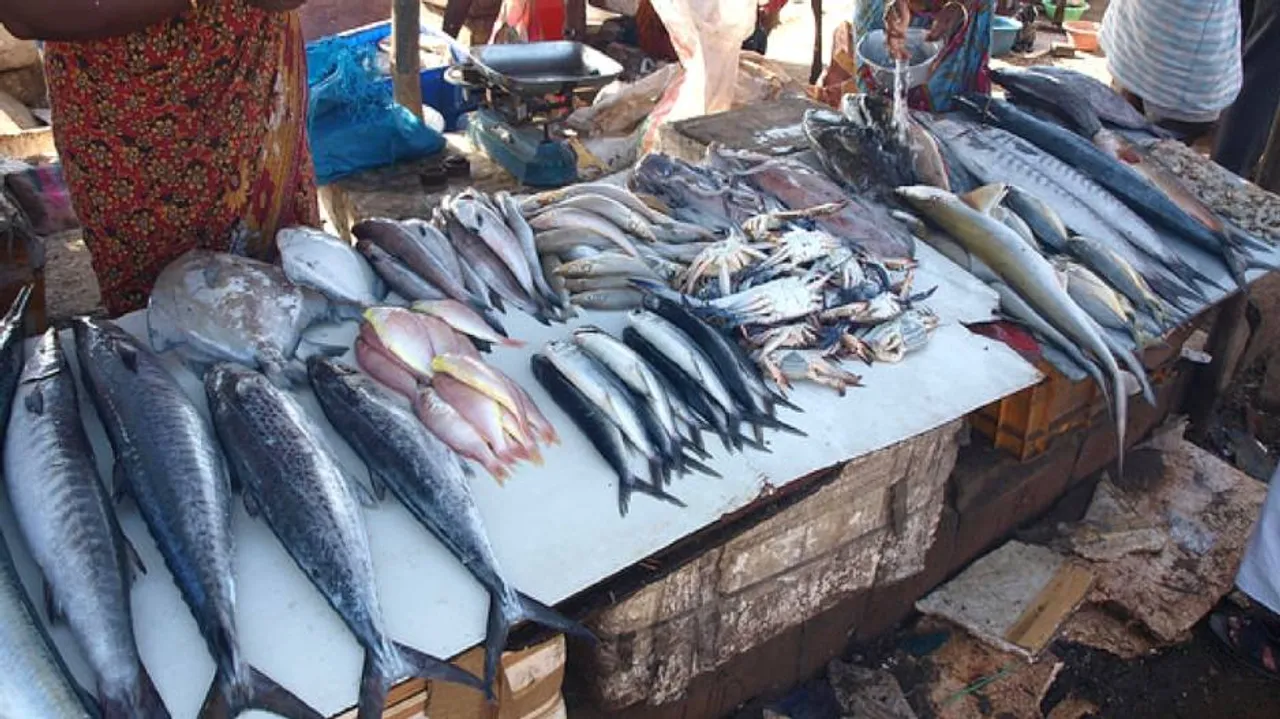 'No formalin' in fish samples collected from Rourkela