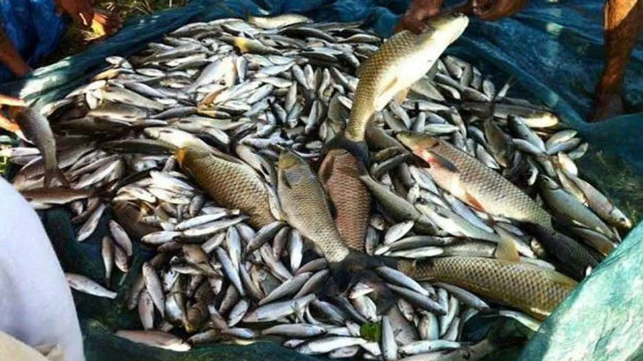 Fish import ban will be an irritant to Goa's travel & tourism: Trade body