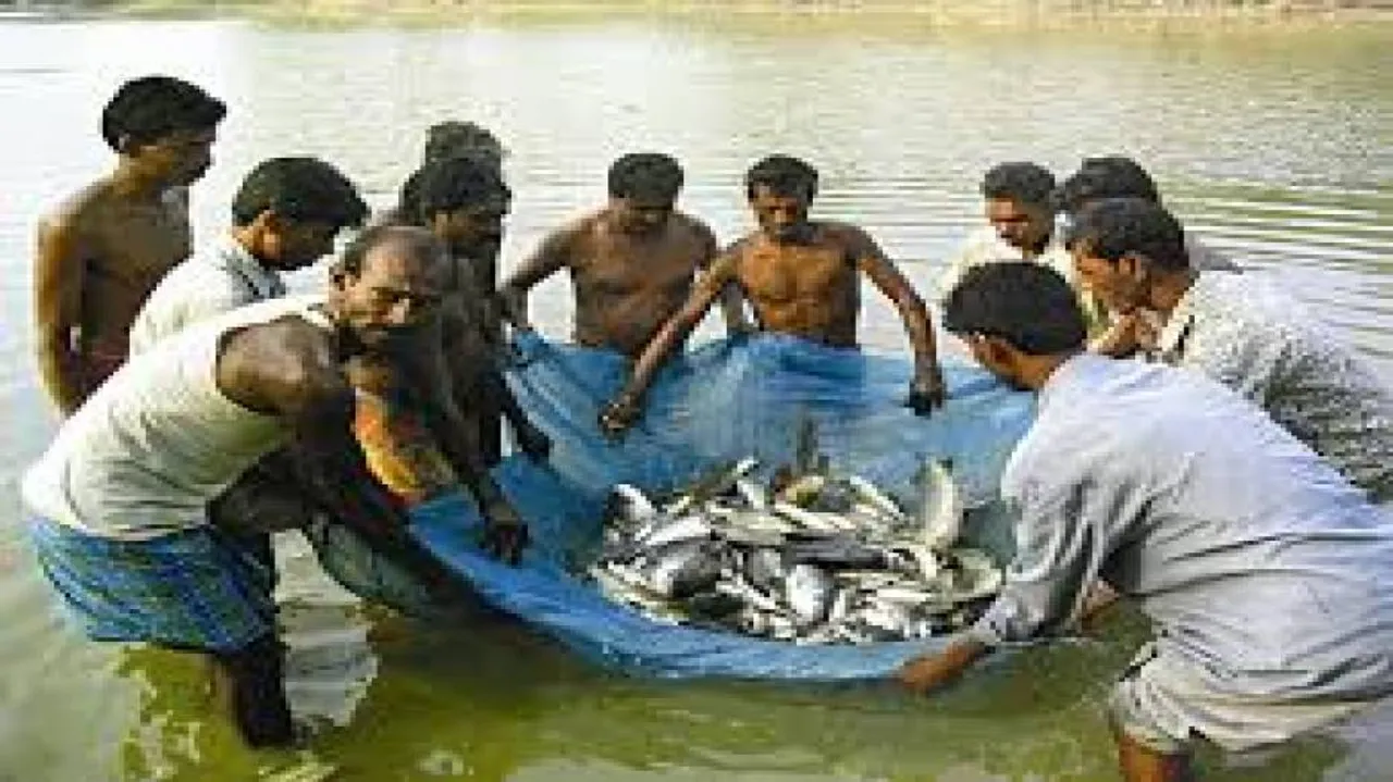 Odisha govt unveils roadmap to boost fish production