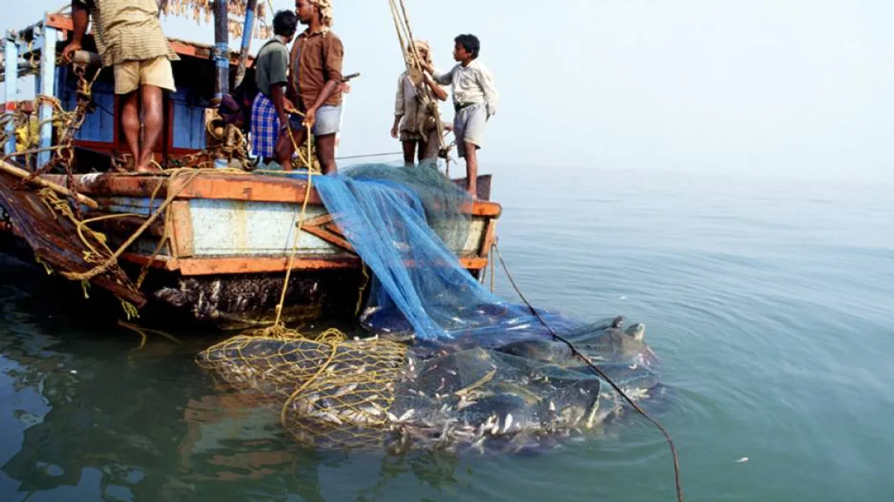 Column: Call For Rationalising The Fishing Ban