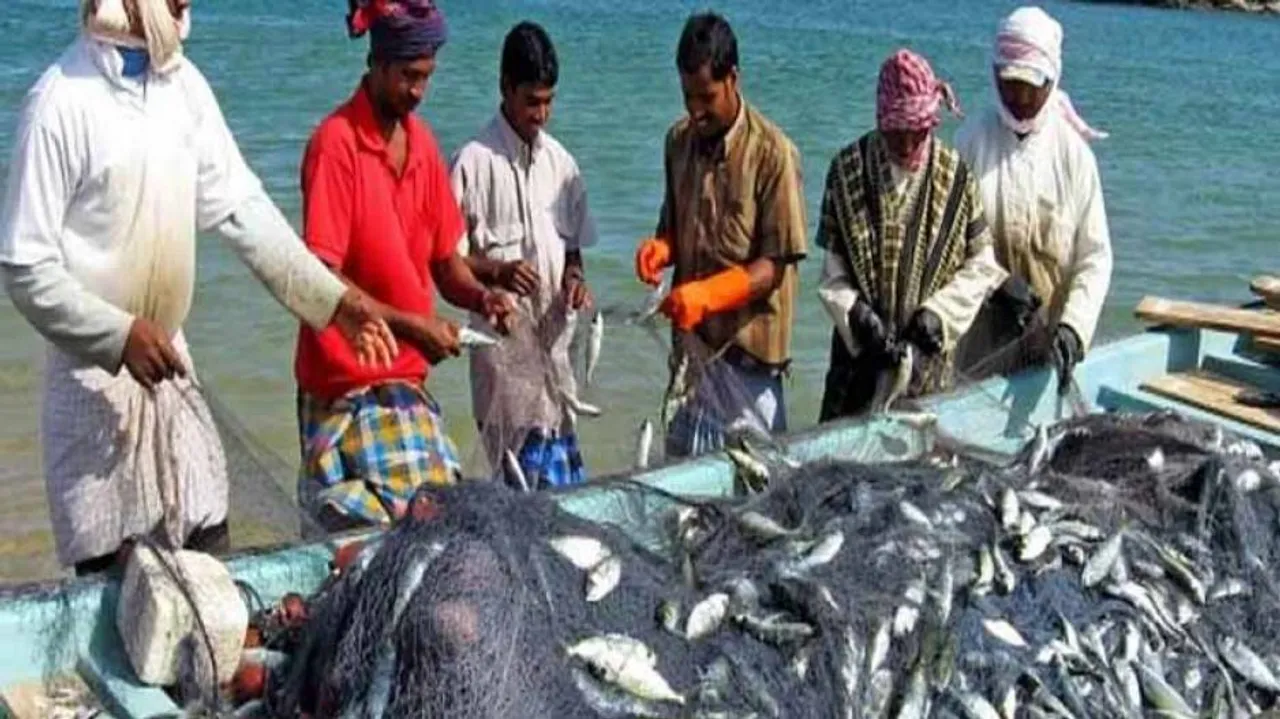 Scheme to modernize fishery sector: Sitharaman