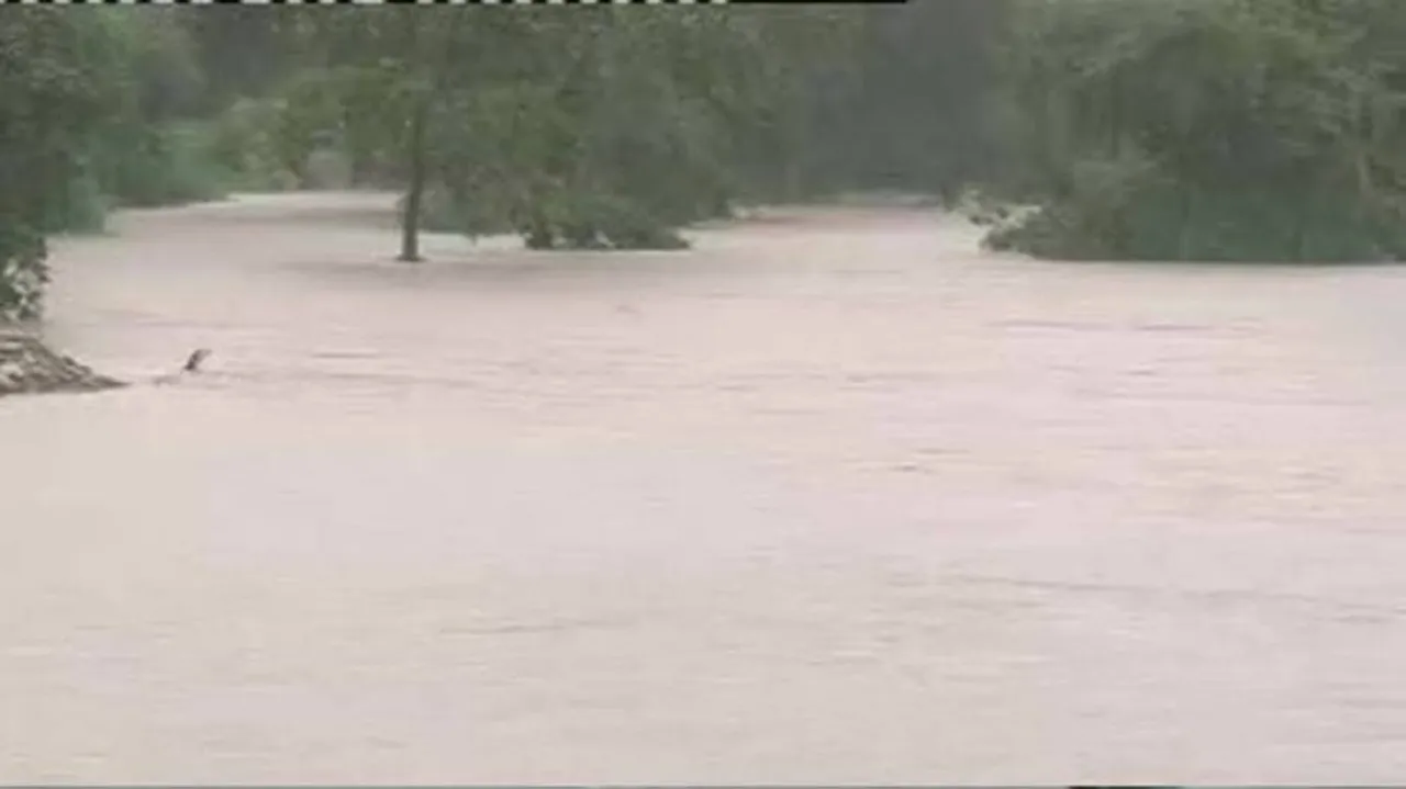 Rain Batters Parts Of Odisha, Water Levels Of Rivers Rise