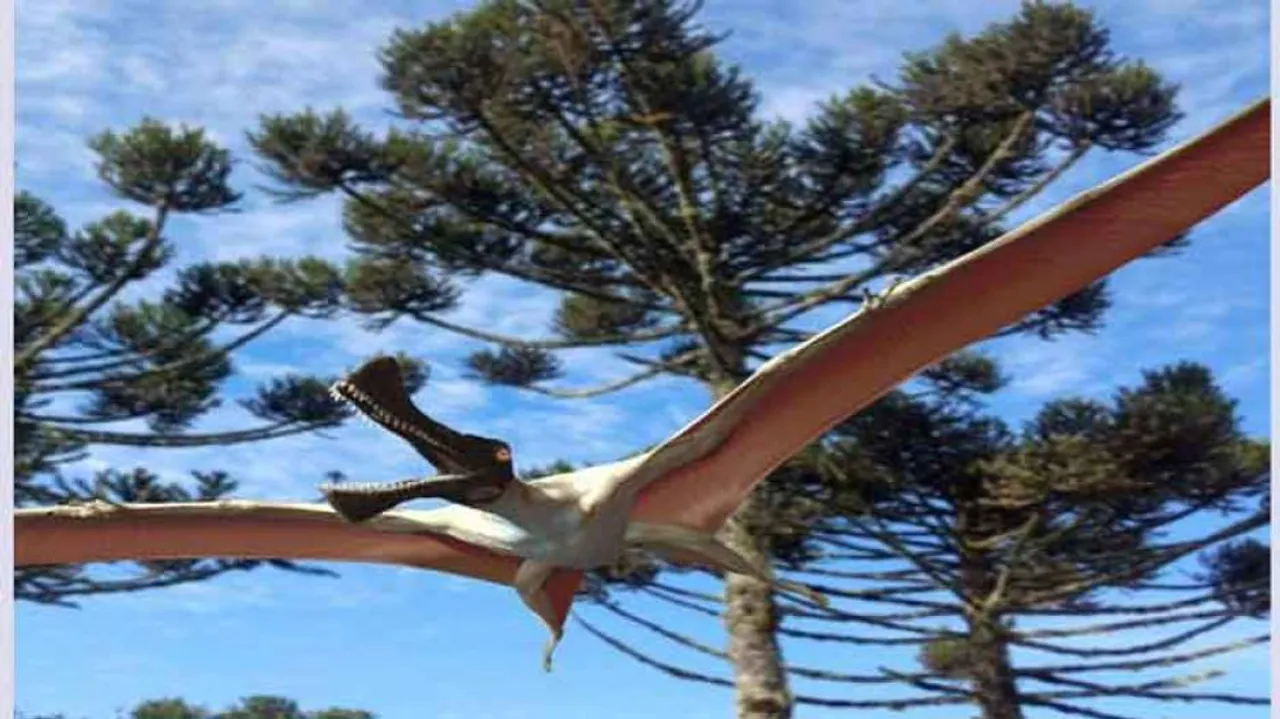 Remains Of Prehistoric Flying Reptile Found In Australia