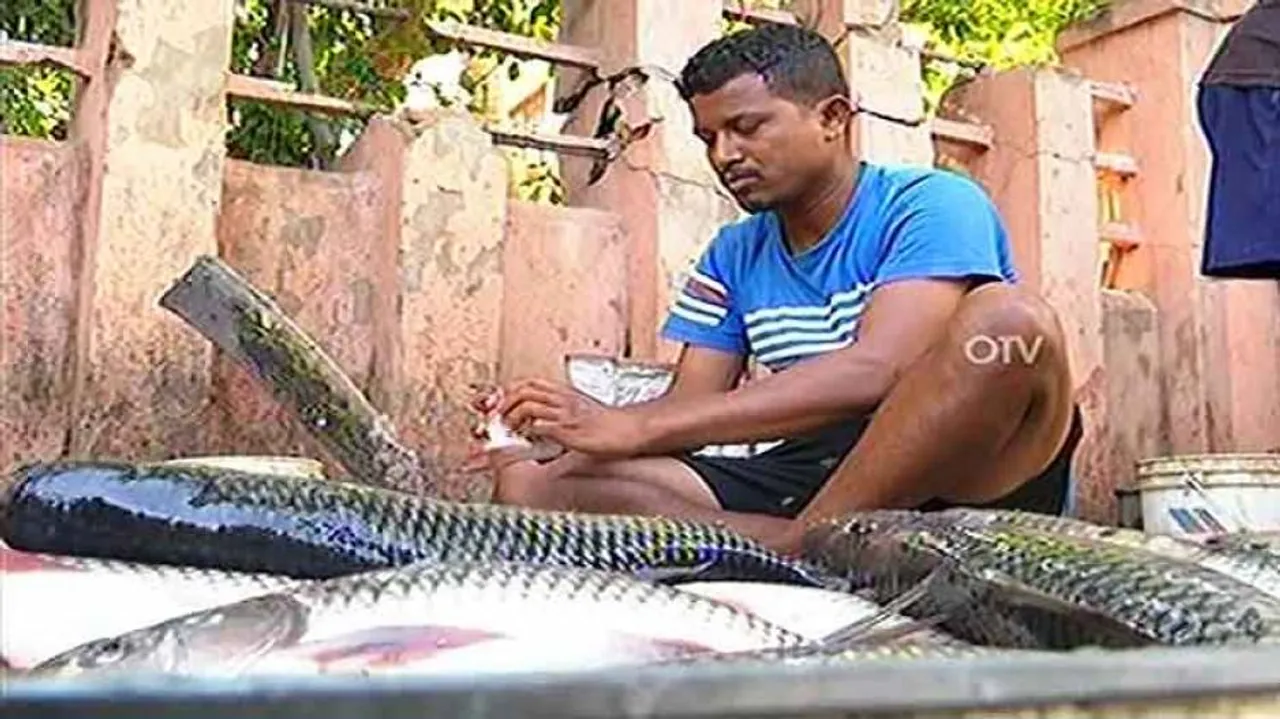 Football to footpath - Odisha footballer now a fish seller on streets