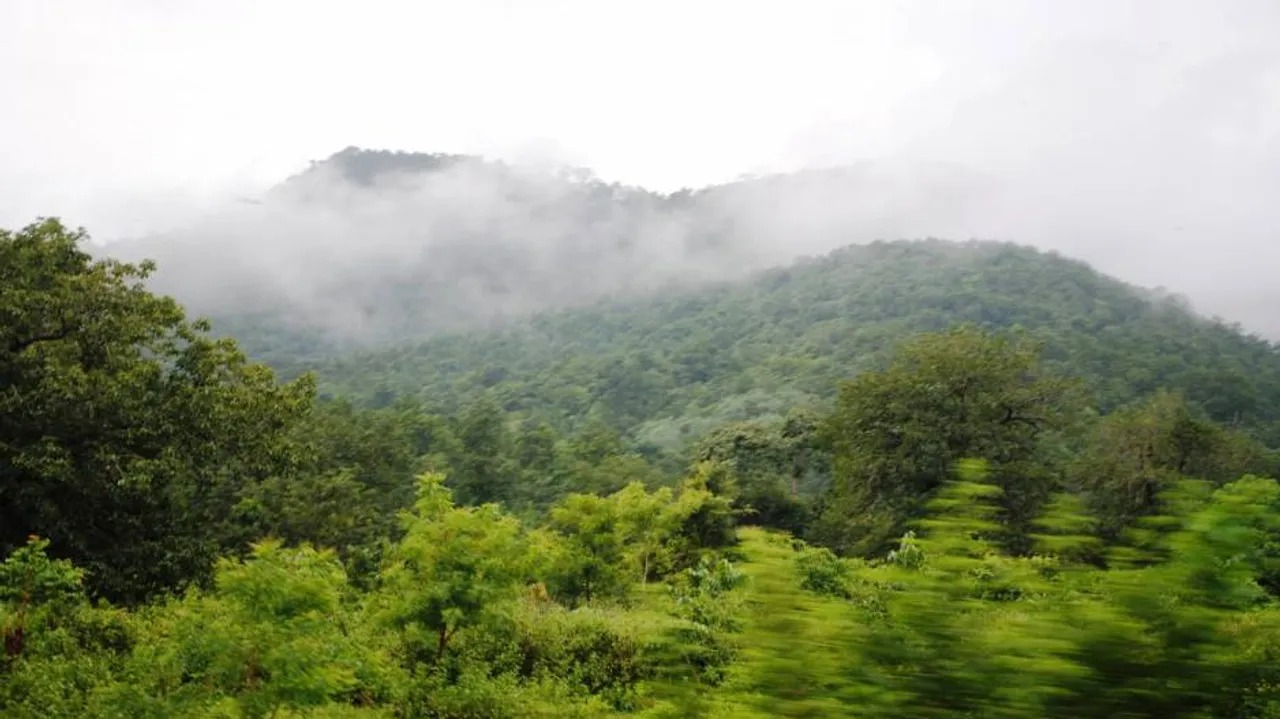 Odisha retains top spot in Forest Rights Act implementation