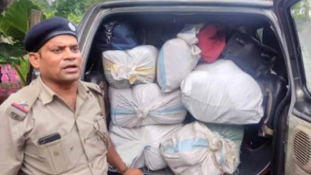 Ganja worth Rs 10 lakh seized from Keonjhar