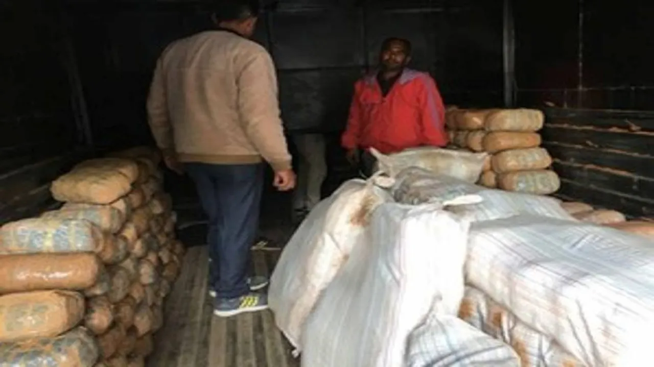 Over 540kg cannabis from Odisha seized in New Delhi
