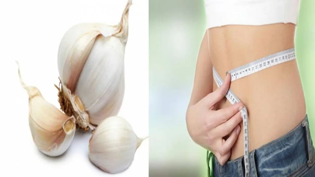 Weight Loss: Garlic To Burn Stubborn Fat & Other Health Benefits, Know Use