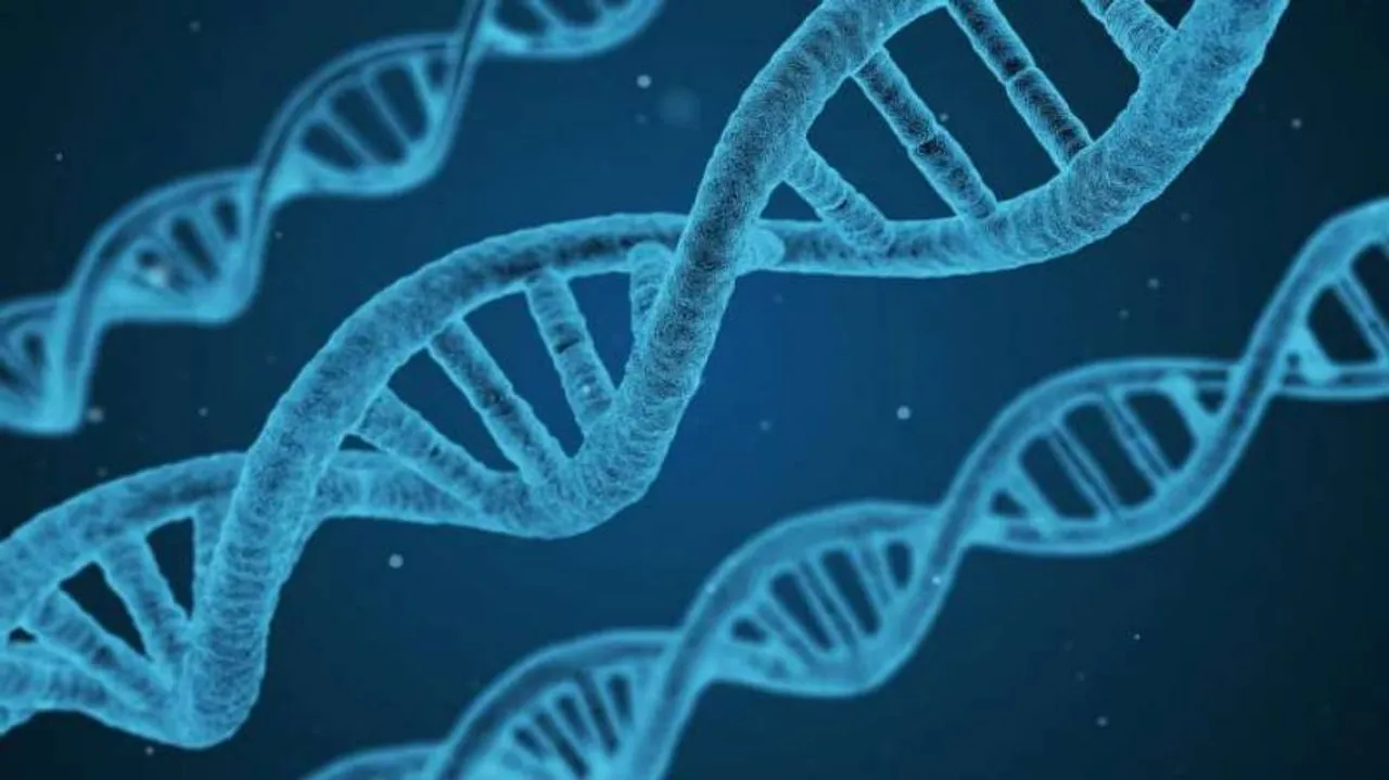Diabetes, heart disease linked by same genes: Study