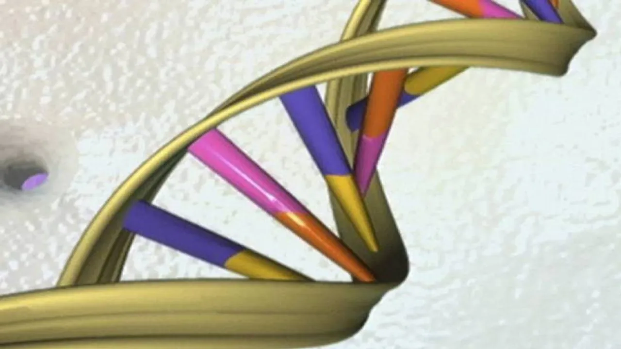 Scientists identify gene that helps treat cancer