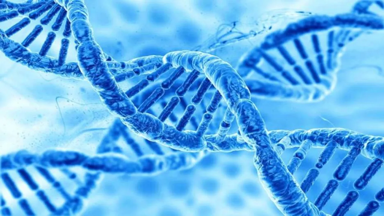 Your uncle's genes may decide your longevity: Study