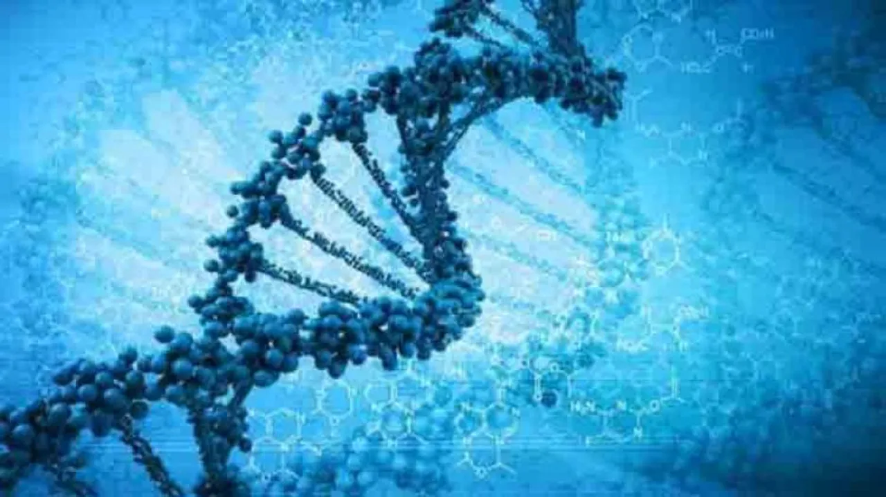 Your genes may determine how marriage will fare: Study