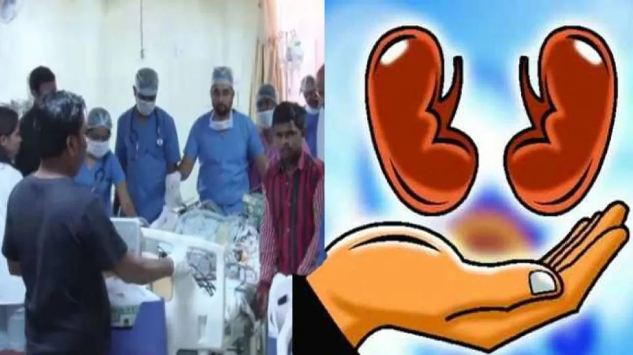 SCB Organ transfer: Odisha joins select club, puts glare on rising Kidney ailments