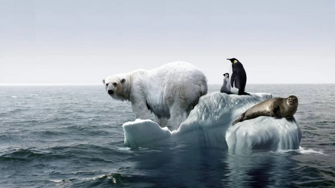 Why half a degree change in global warming matters