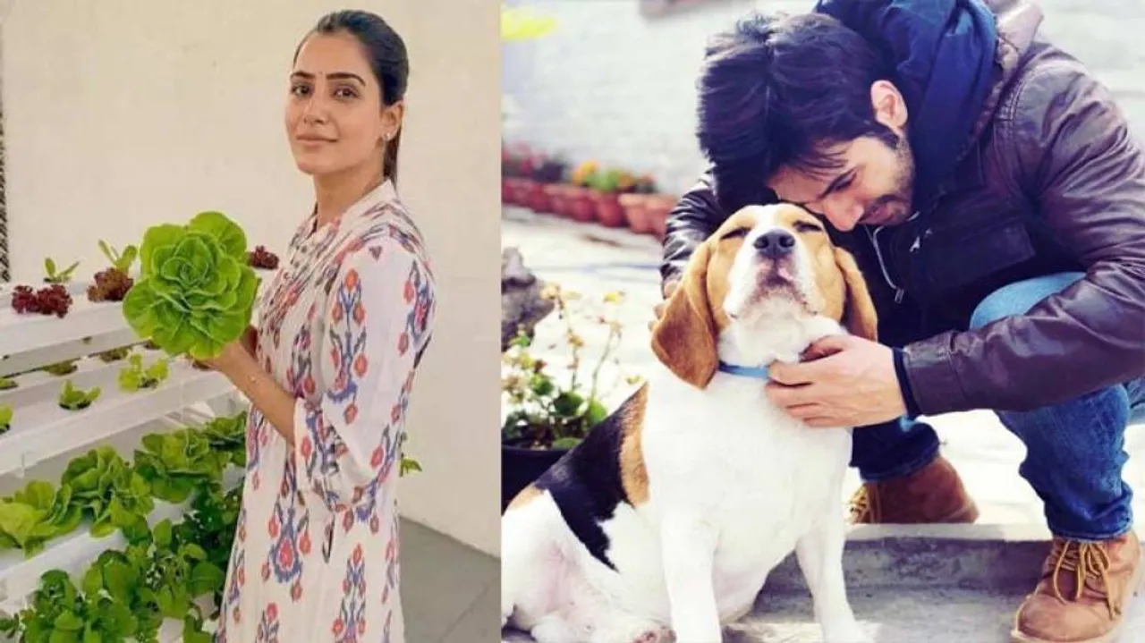 Some Posts To Light Up Your Day While You #StayAtHome