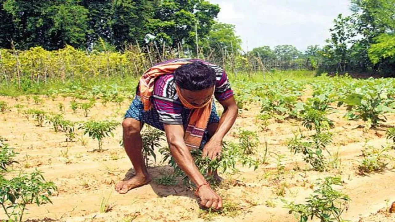 Odisha plans to make 22 % of its GPs poverty free