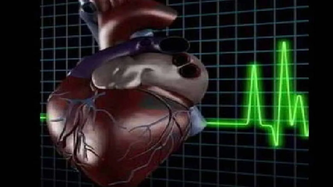 IIT Roorkee students develop 'Dhadkan' app for heart patients