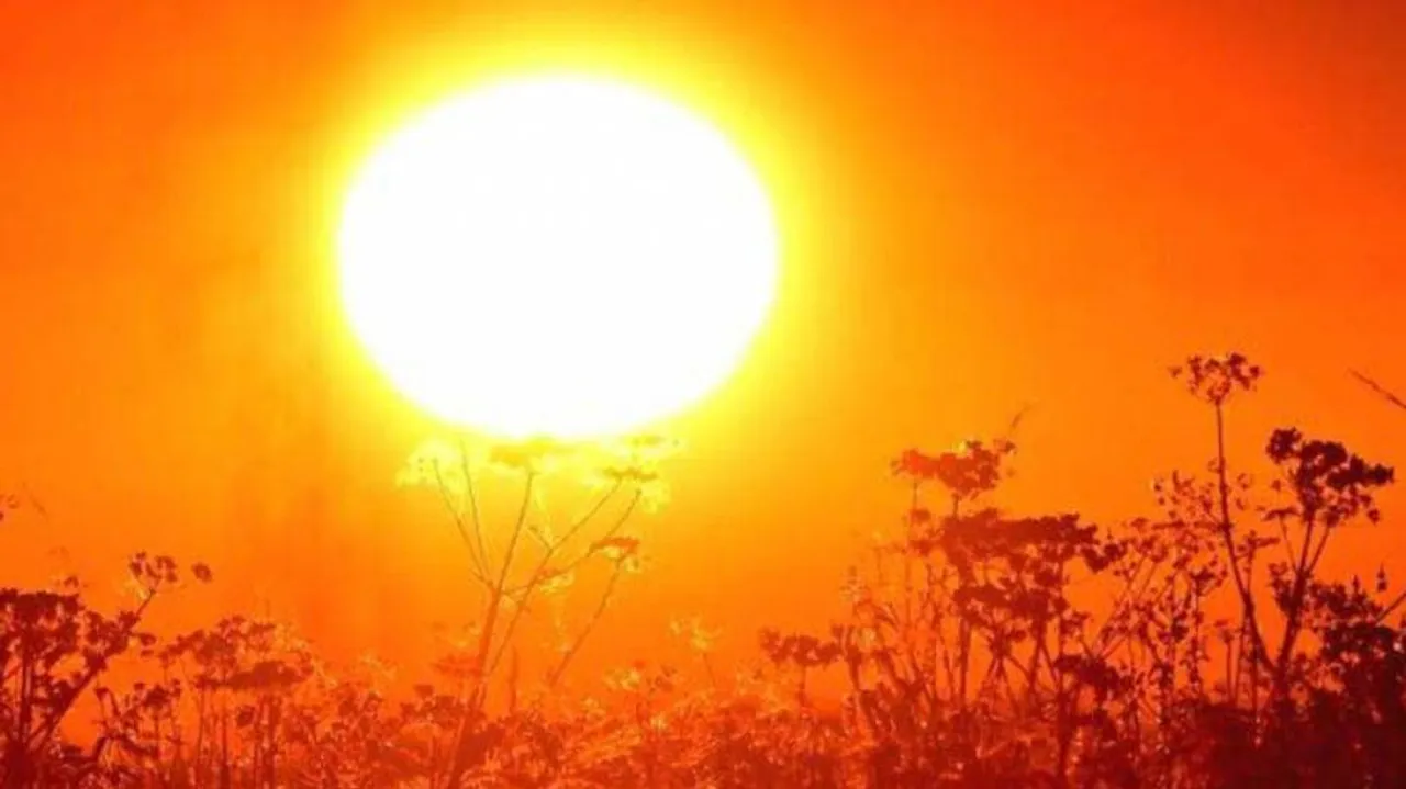 Heatwave kills 45 in Bihar in 24 hours