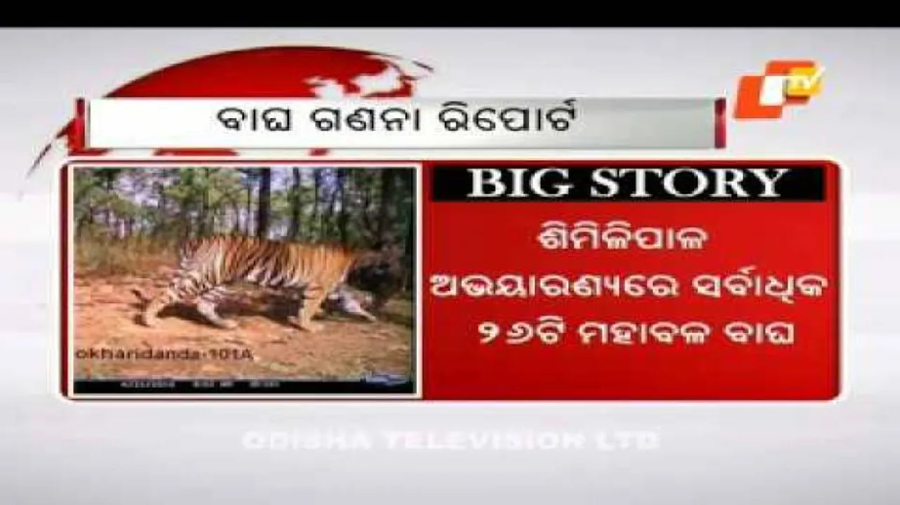 Odisha has 40 tigers, 318 leopards