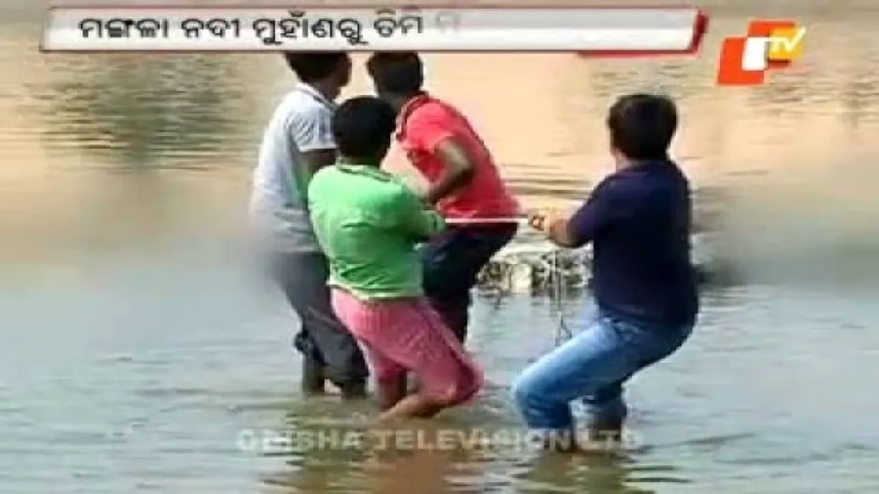 Another whale carcass found at Mangala river mouth
