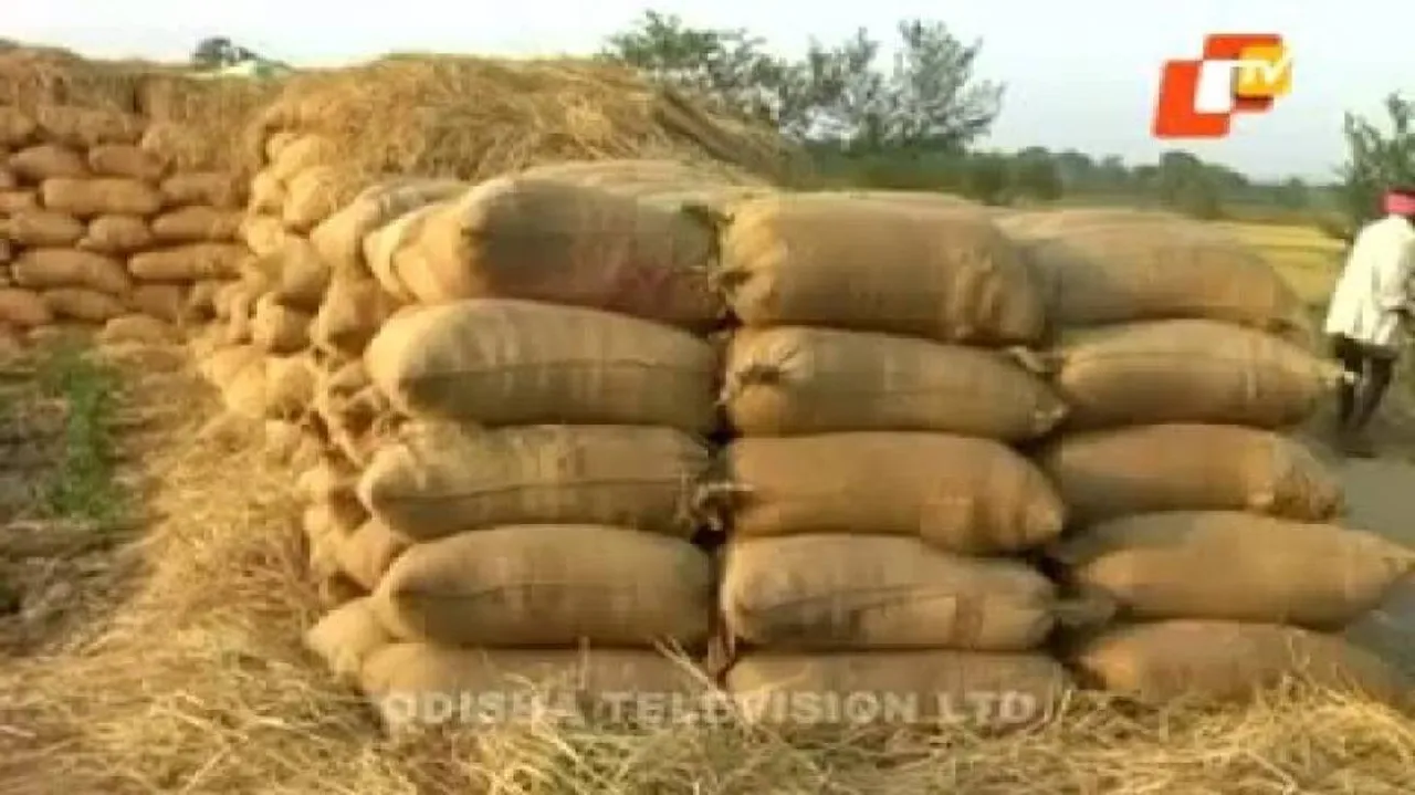 Rabi paddy procurement to begin in May
