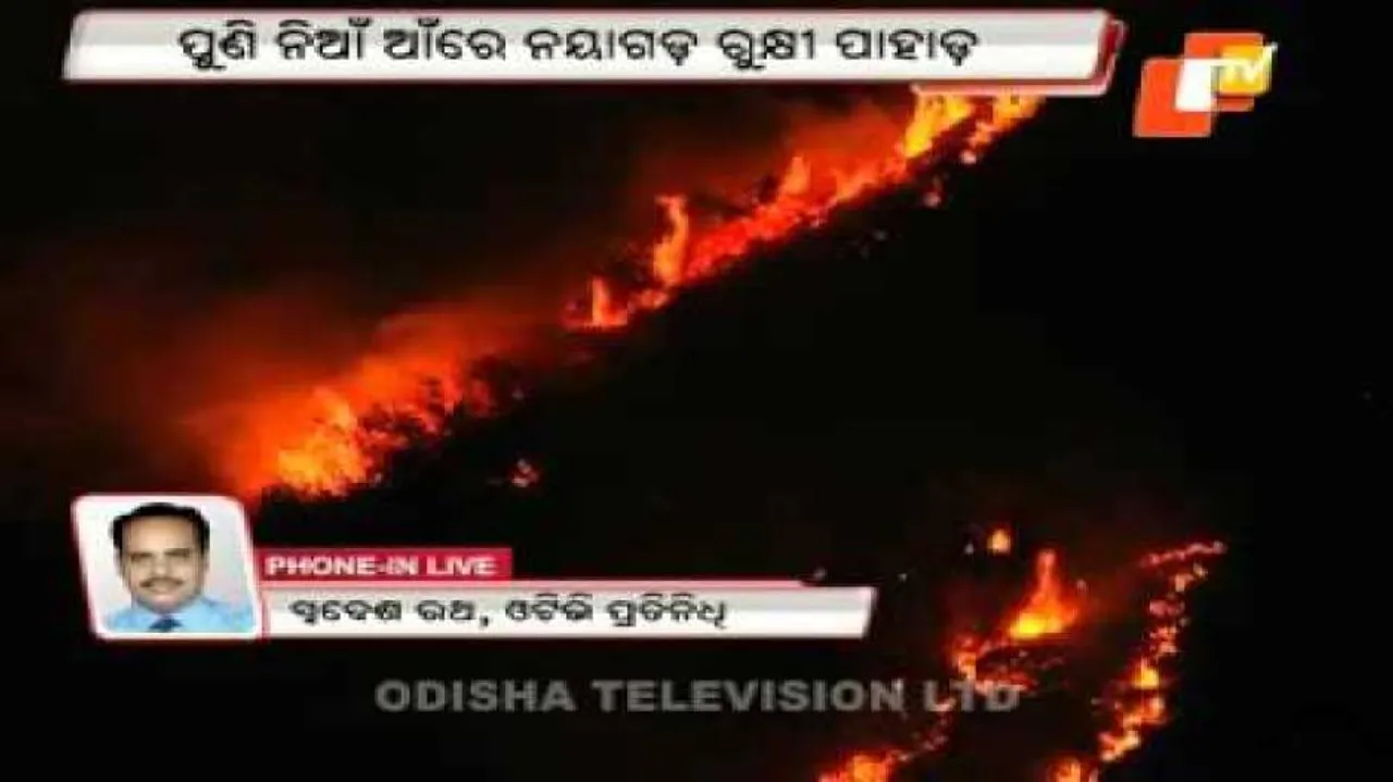 Fire breaks out again in Rukhi hill forest