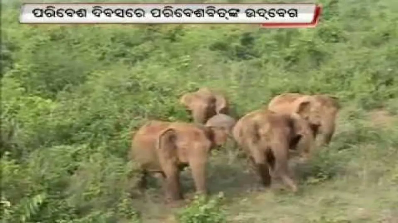 Odisha to prevent illegal trade in wildlife: Patnaik