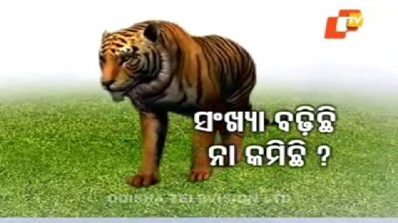 Tiger census begins across Odisha