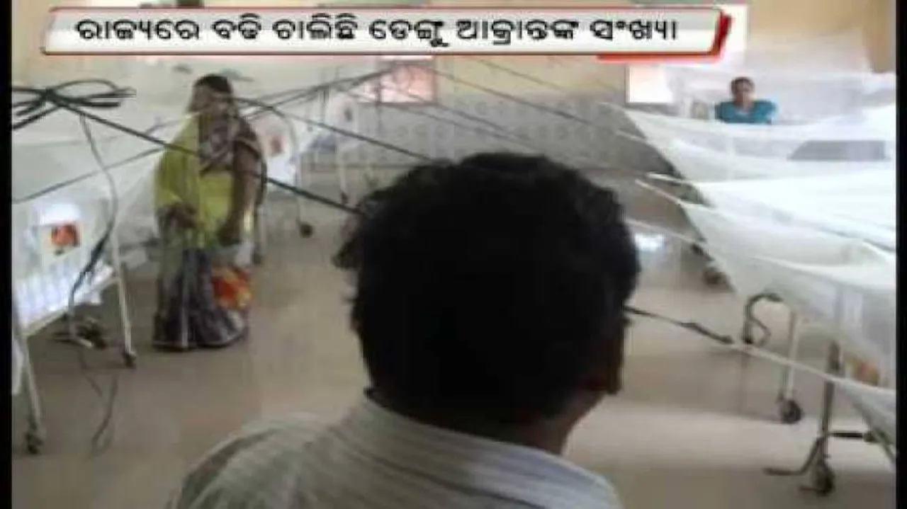 OHRC notice to govt officials seeking report on dengue