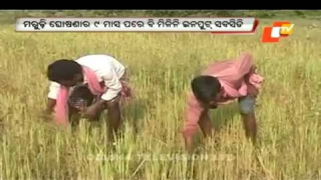 9 months after drought declaration, 53% farmers yet to get input subsidy