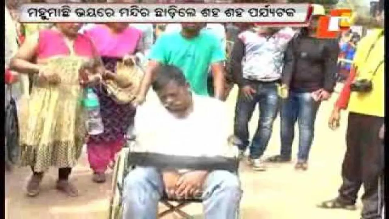 Tourists vacate Konark Temple after bee attack