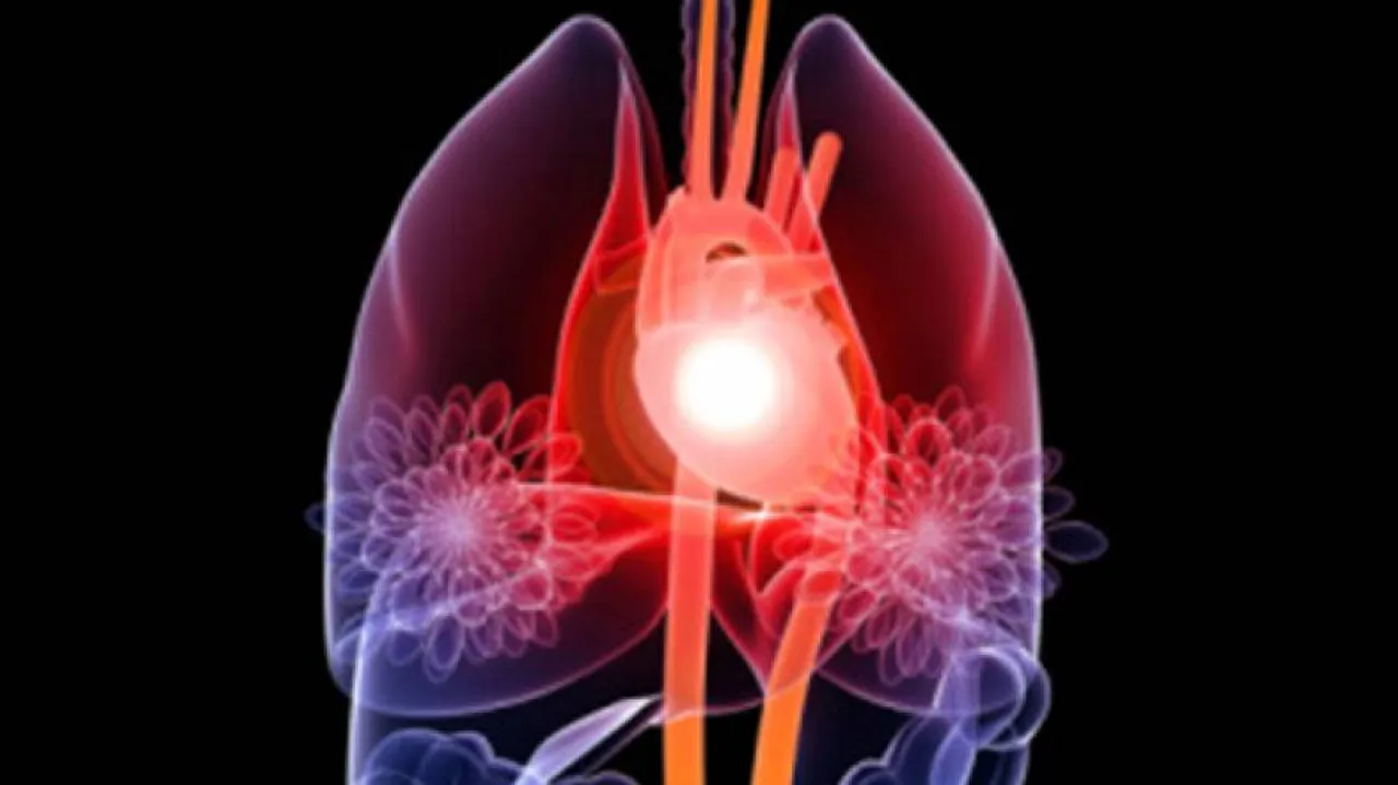 First adult-like human heart muscle using stem cells developed