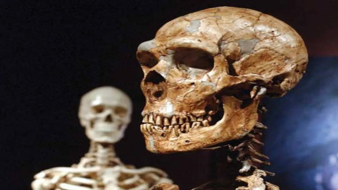 Human skull hole evolved with walking on two legs