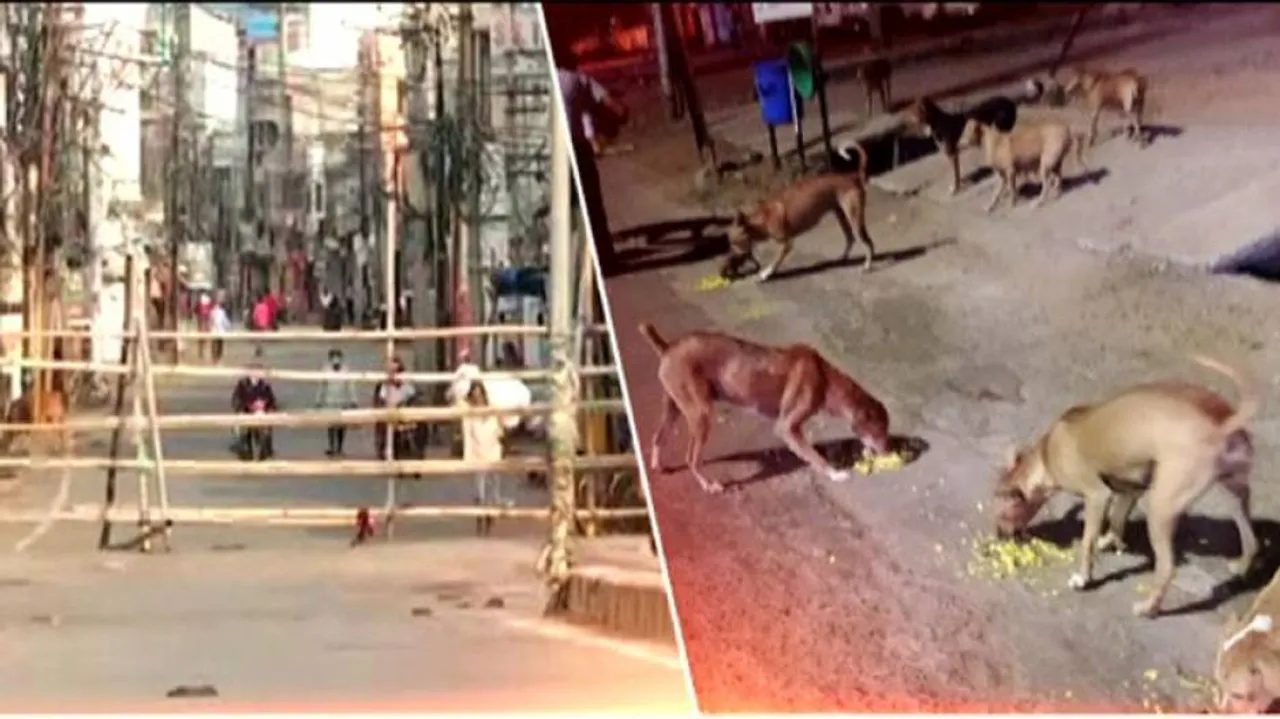 Lockdown Barricading, Animal Feeding Expenditure Irregularities Surface In Berhampur