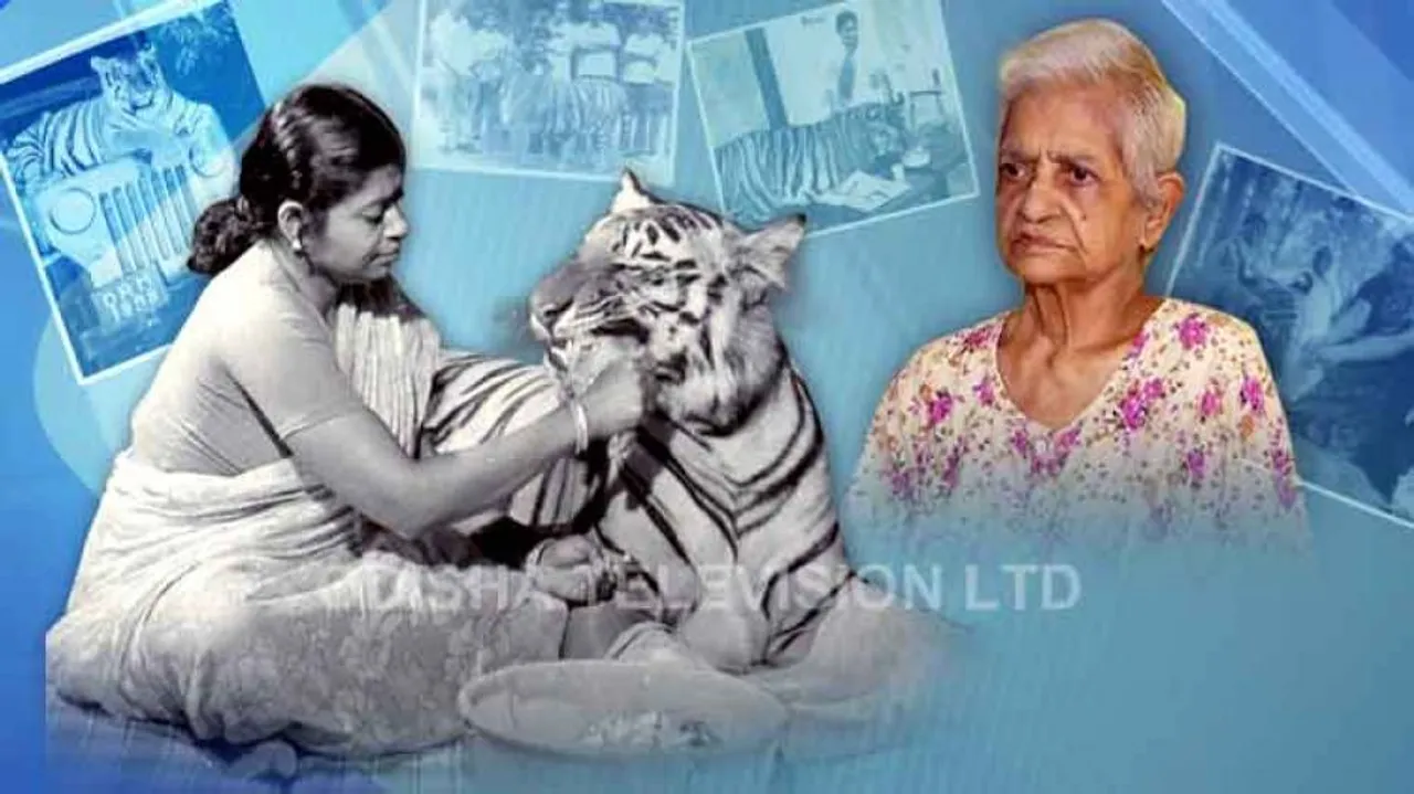 Human-Animal Love: Decades After Tigress Khairi's Death, Her Foster Mother Still Moved By Inseparable Bond